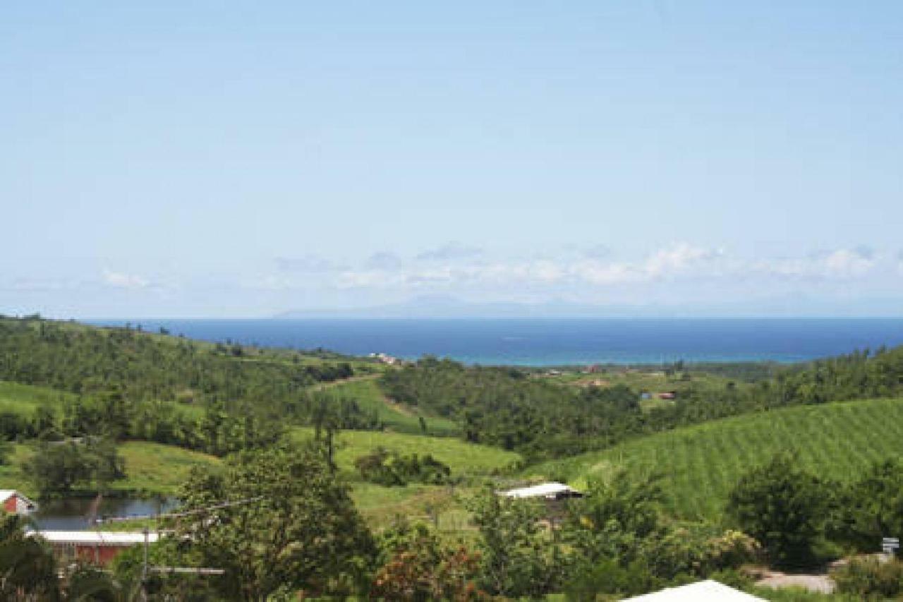 Villa Manguier Riviere-Salee エクステリア 写真