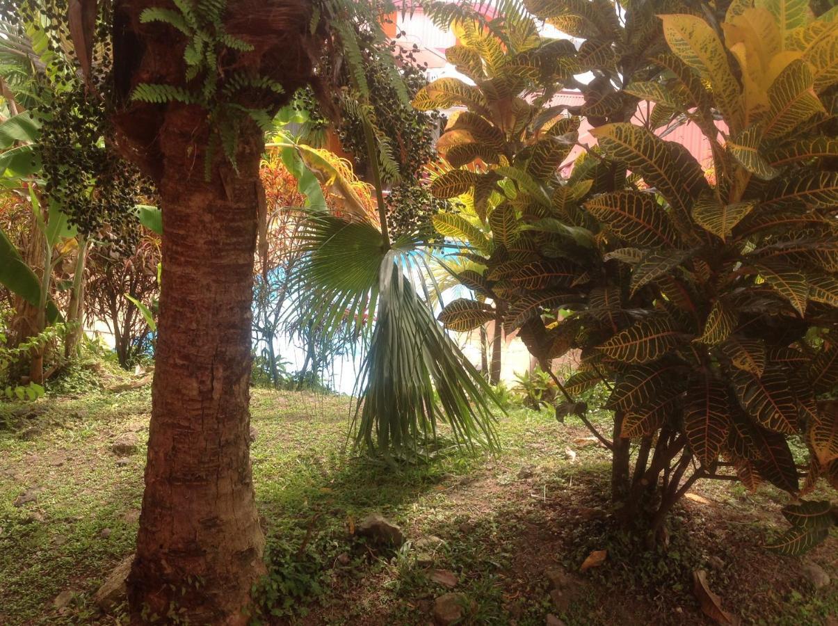 Villa Manguier Riviere-Salee エクステリア 写真